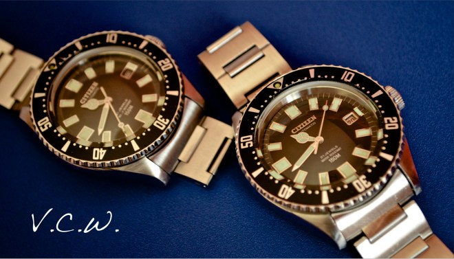 citizen diver