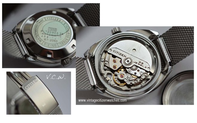 citizen leopard copy