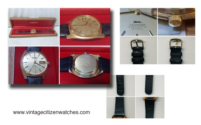 gold citizen leopard