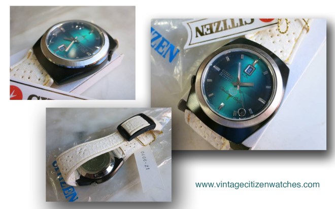 citizen challenge golf