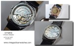 citizen chrono master auto day date