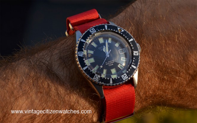 citizen-lost-in-the-ocean-australia-52-0110-diver-red-nato