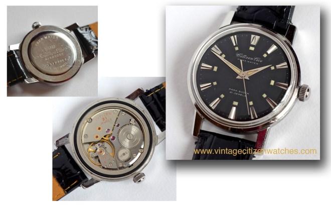 citizen ace parawater