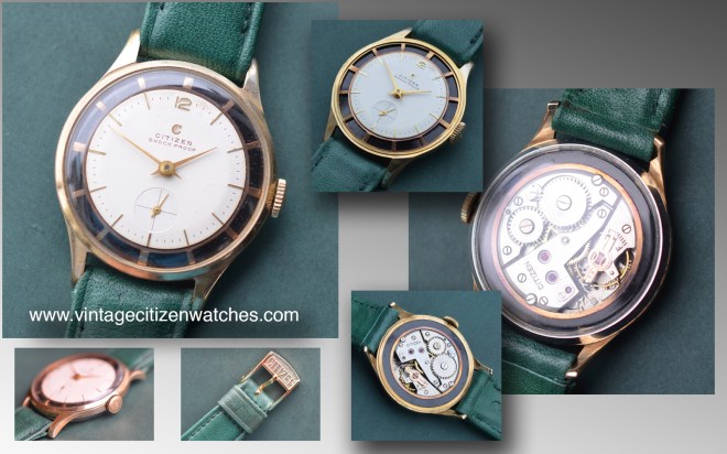 citizen shock proof parashock