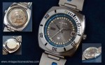 crystal seven vintage citizen diver