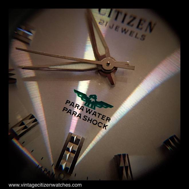 12038596_1652516901680966_503252284663377769_o