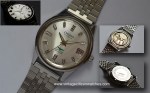 vintage citizen parashock parawater green eagle