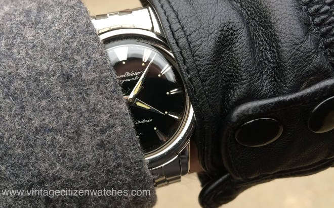 parawater-citizen-deluxe-andrei-cherascu